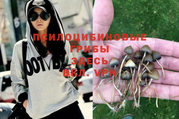 метамфетамин Пестово